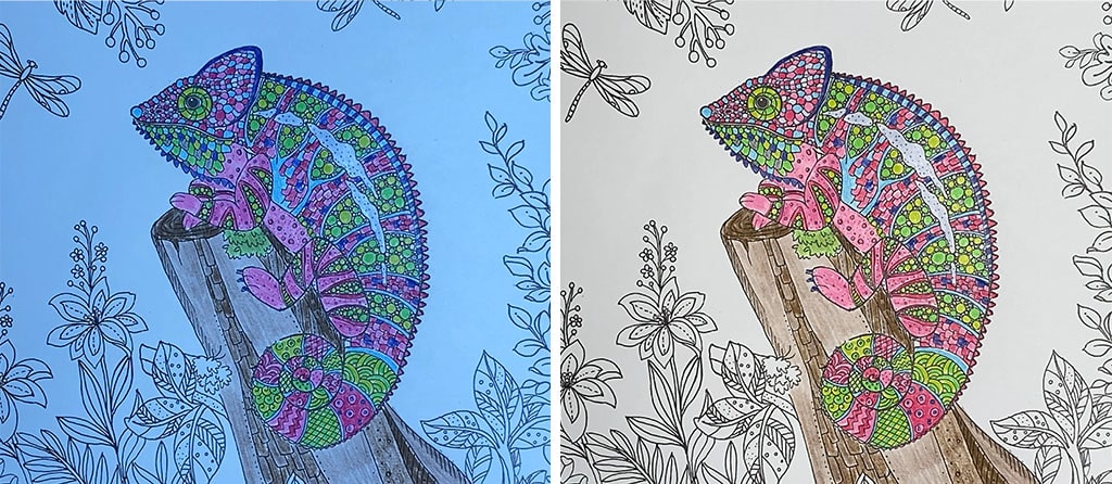 The same picture is used to demonstrate various color temperatures on the cricut bright 360 lamp