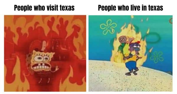 sponge bob on fire vs fish on fire but doesn't care with text "people who visit texas vs people who live in texas"