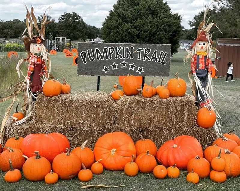 pumpkin photo op at Team Family Farms