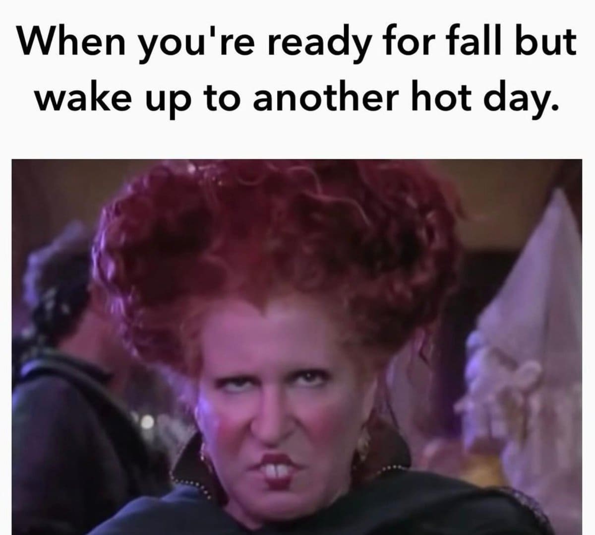 Meme with hocus pocus star glaring and text that reads when you're ready for fall but wake up to another hot day