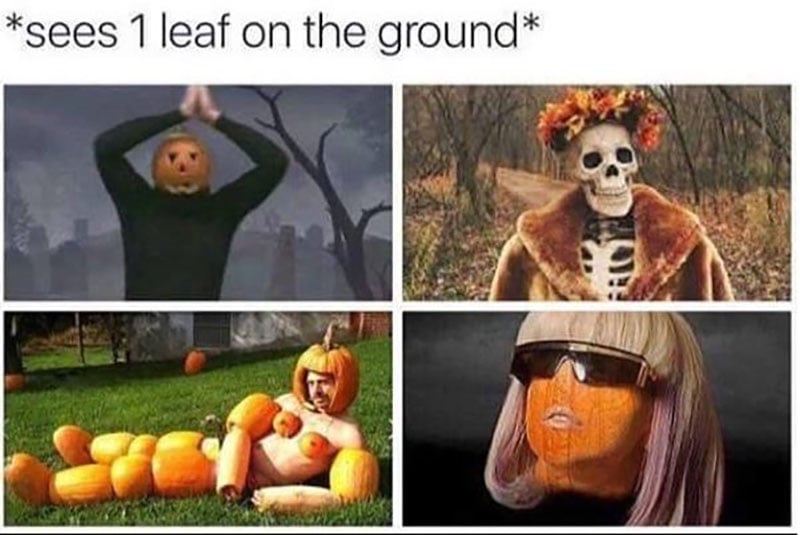 as soon as 1 leaf hits the ground, the party starts. collage of people partying with pumpkins