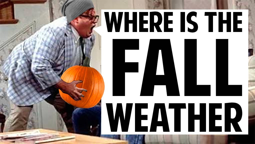 chris farley meme yelling WHERE IS THE FALL WEATHER while wearing a beanie and holding a pumpkin