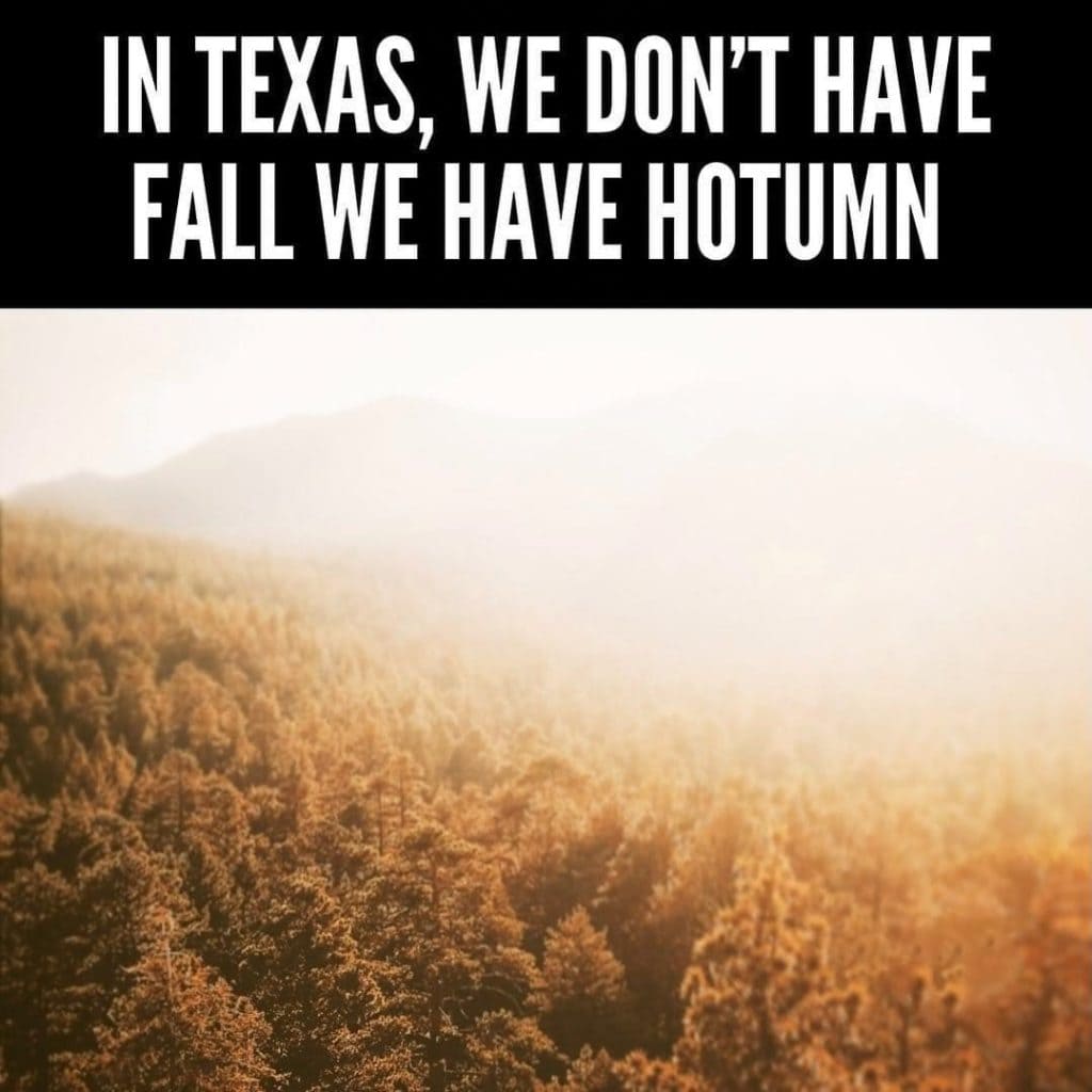 Trees covered in fog and the caption IN TEXAS WE DONT HAVE FALL WE HAVE HOTUMN