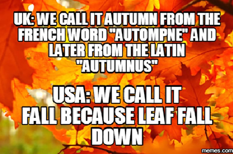 Fall leaves are covered by text joking about how the UK calls it Autumn because of latin roots and the US calls it fall because leaves fall down