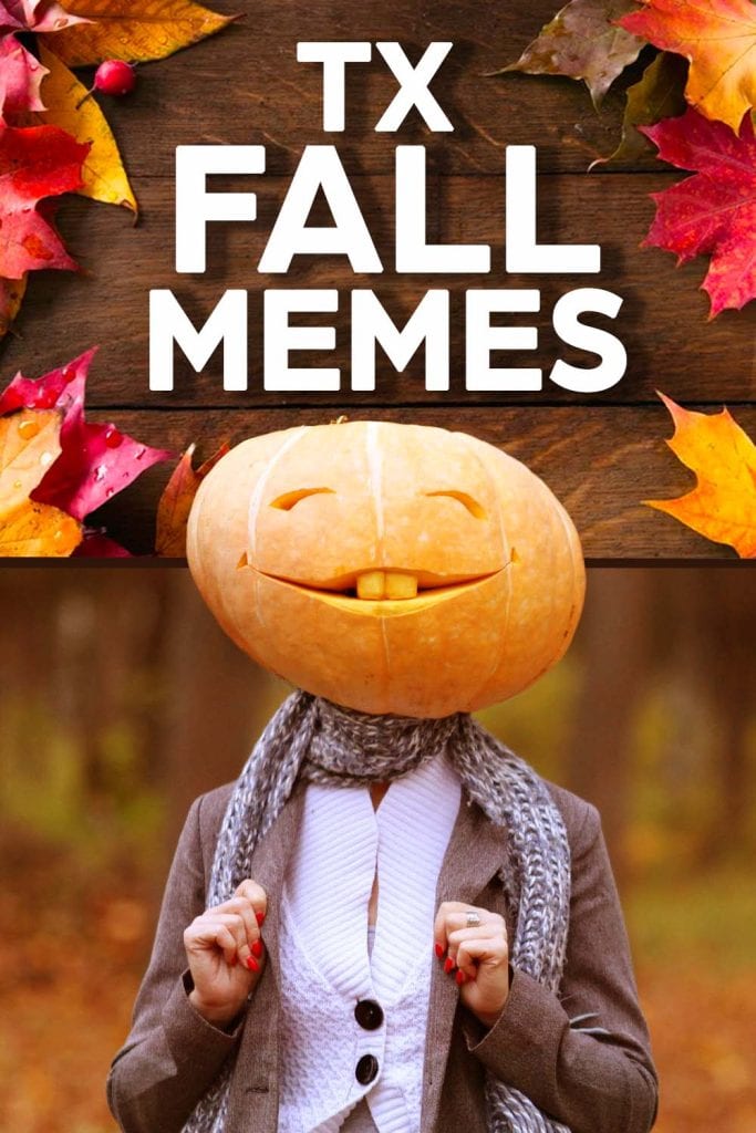 A person stands in front of a forest in the Fall wearing a nice, tailored suit, with a carved pumpkin on their head.