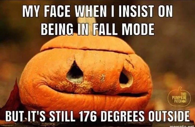 A rotting jack-o-latern melts with text "my face when I insist on being in fall mode but its still 176 degrees outside"