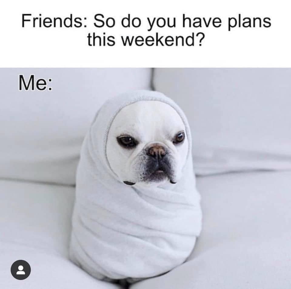 a dog is fully wrapped in a stretchy blanket and sits on a white couch. Text reads "friends: so do you have plans this weekend? me:"